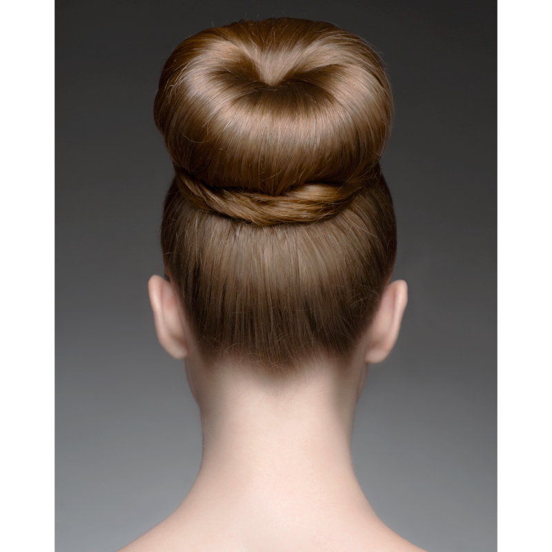 Image of Bun Hairstyle Of an Indian Woman-ZS483489-Picxy